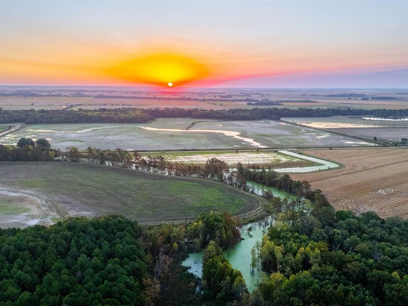 Cache Brake Farms : Cash : Craighead County : Arkansas