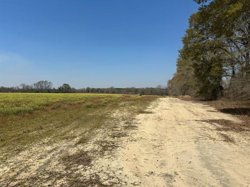 Seaborn Farm, Tract 3 : Statesboro : Bulloch County : Georgia