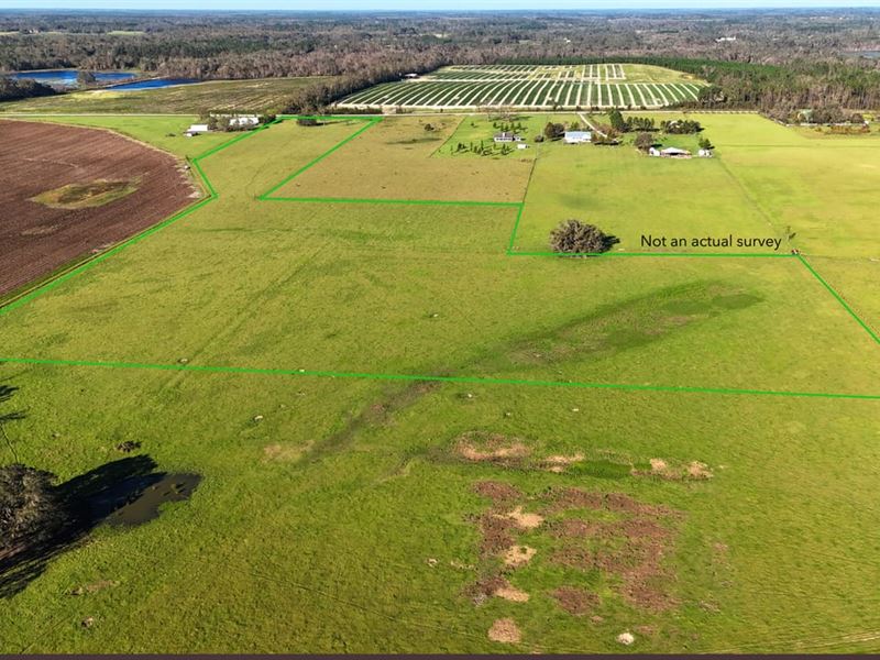 24 Acres of Rocky Ford Rd : Madison : Madison County : Florida