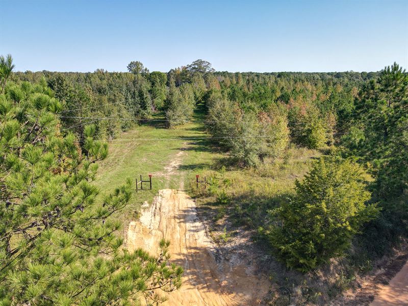 11.84 Acres in Loachapoka, AL : Auburn : Lee County : Alabama