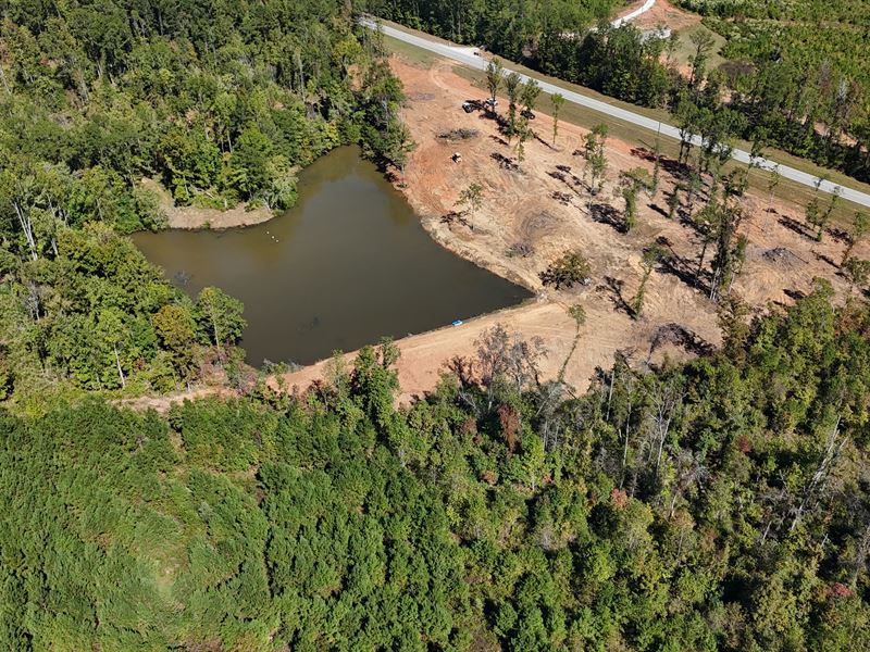 36 Ac, with Pond, in Five Point : Five Points : Chambers County : Alabama