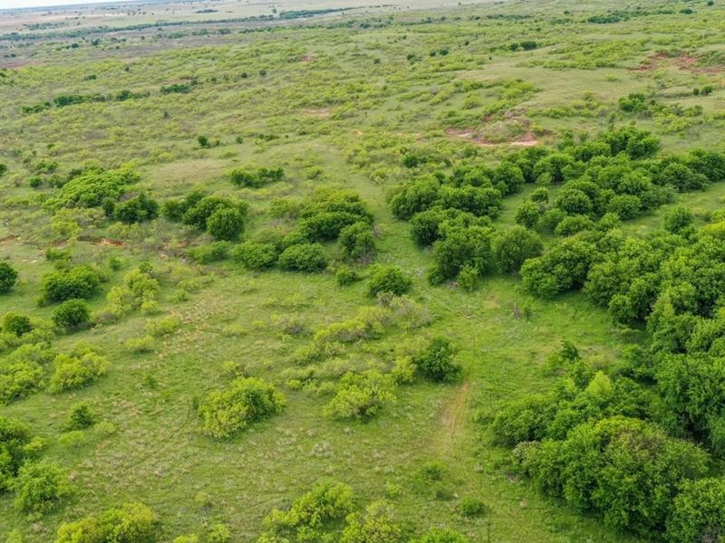 75 Acres Jefferson County Ranch : Waurika : Jefferson County : Oklahoma