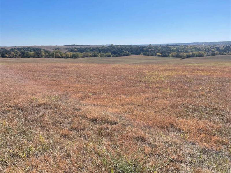 80 Acres, Knox County, Nebraska : Niobrara : Knox County : Nebraska