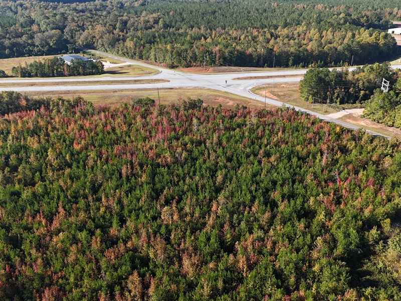 30 Acres, Commercial Property : Camp Hill : Tallapoosa County : Alabama