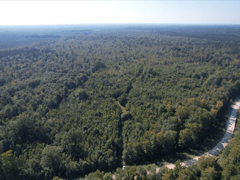 268 Acres in Caldwell Parish in Gra : Grayson : Caldwell Parish : Louisiana