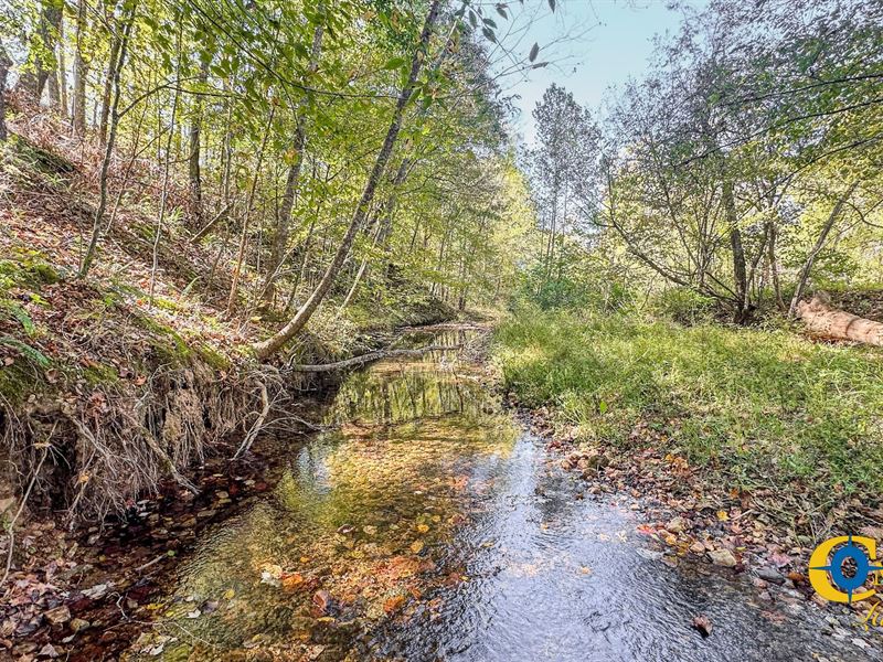 Middle Fork West Tract : McEwen : Hickman County : Tennessee