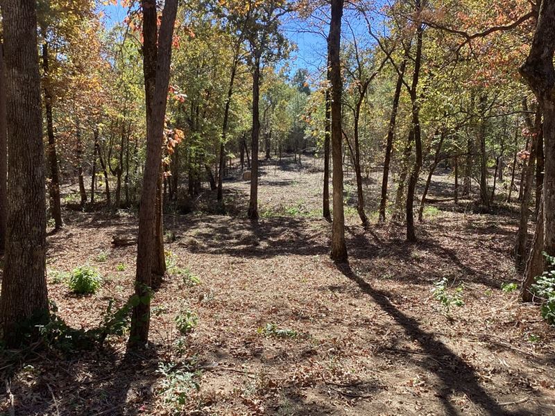 5 Acres in Polk County, AR : Mena : Polk County : Arkansas