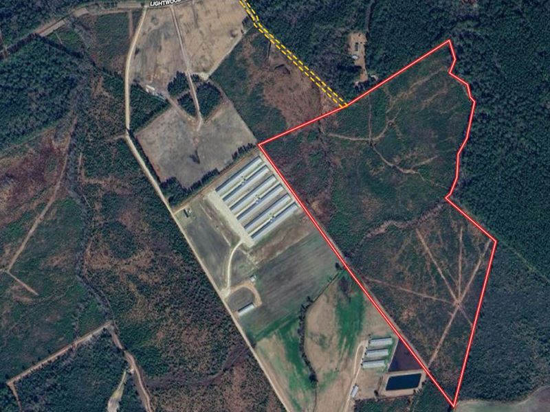 90 Acres in Wallace, North Carolina : Wallace : Duplin County : North Carolina