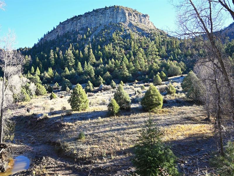 83.09 Acres in Monero, New Mexico : Monero : Rio Arriba County : New Mexico