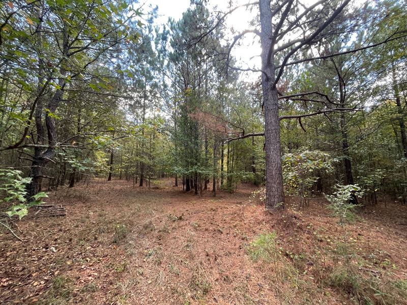 52 Acres in Lamar County : Barnesville : Lamar County : Georgia