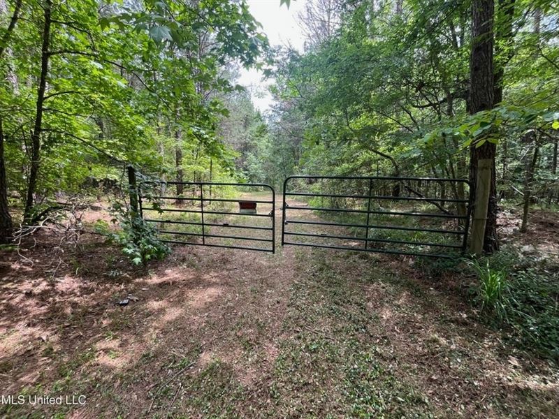 10 Acre Homesite in Hinds County : Jackson : Hinds County : Mississippi