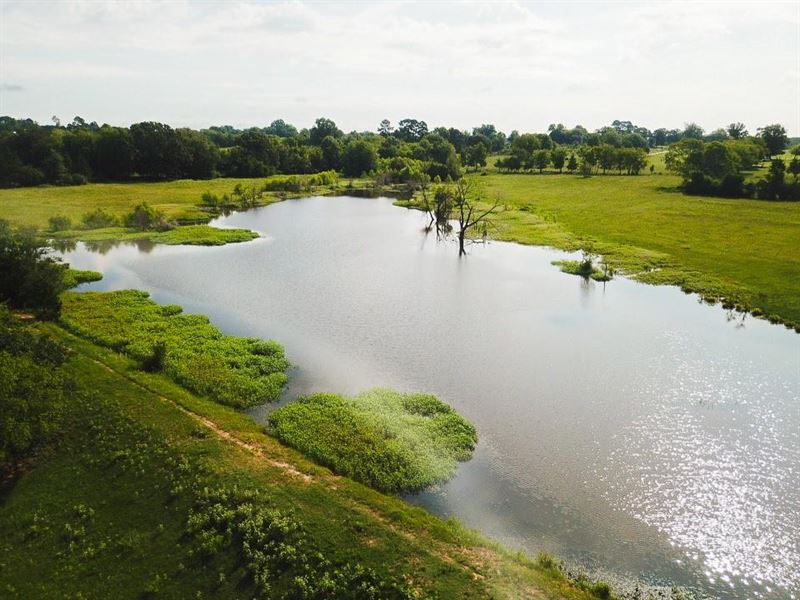 49 Acres in DE Kalb, Texas : De Kalb : Bowie County : Texas