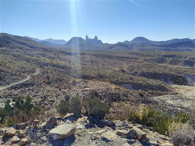 Texas Hideout, Away From Politics : Horizon City : Hudspeth County : Texas