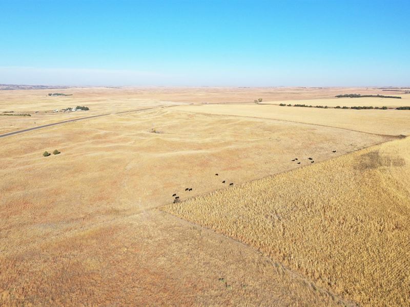 265 Acres, Lincoln County : Wellfleet : Lincoln County : Nebraska