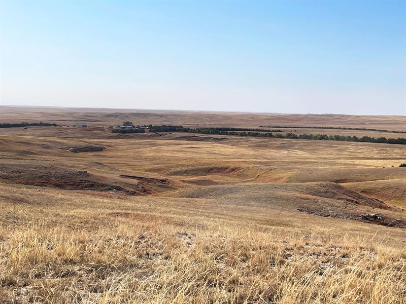 722 Acres, Dawes County Home Grass : Hemingford : Dawes County : Nebraska