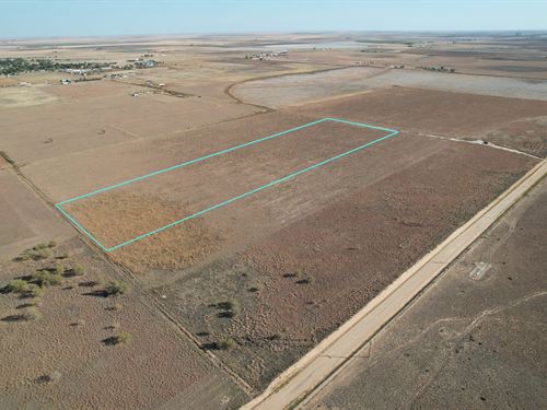 Hale Center Texas Crop Farms for Sale : FARMFLIP