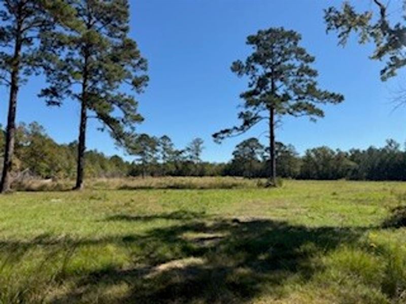 13 Acre Homesite Opportunity in Pik : Pike Road : Montgomery County : Alabama