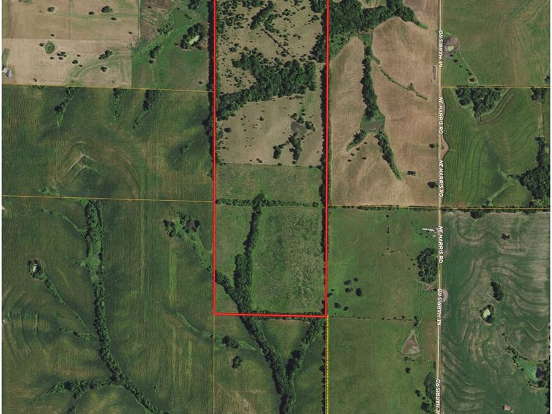 Hunting/Cattle Farm with Rowcrop : Weatherby : Dekalb County : Missouri