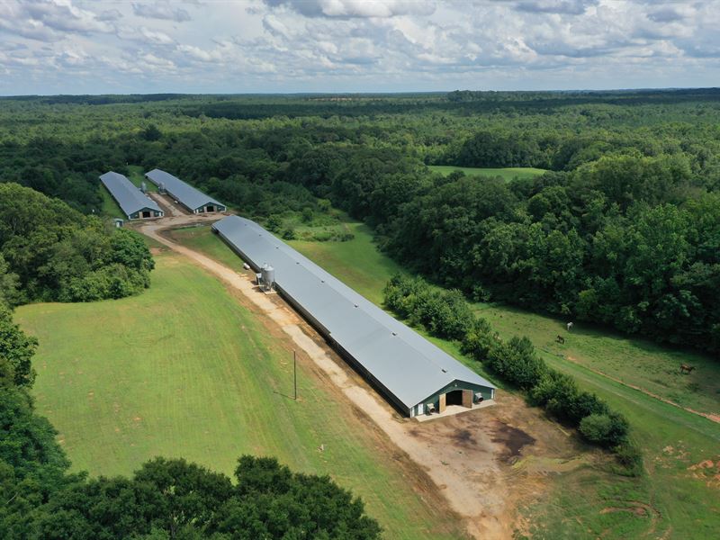 Circle N 47 Broiler Farm : Lexington : Oglethorpe County : Georgia