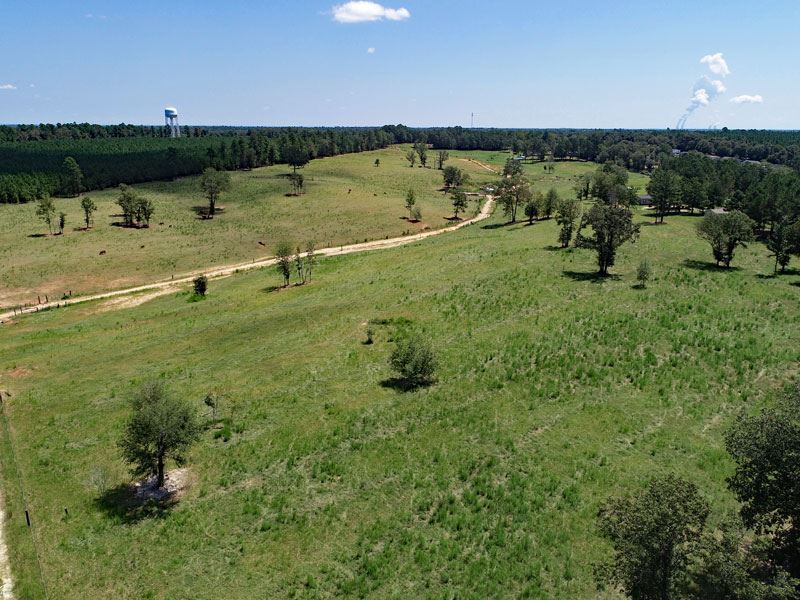 78 Acre Cattle Farm : Hephzibah : Richmond County : Georgia