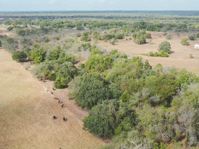 15 Acres in Milam County : Rockdale : Milam County : Texas