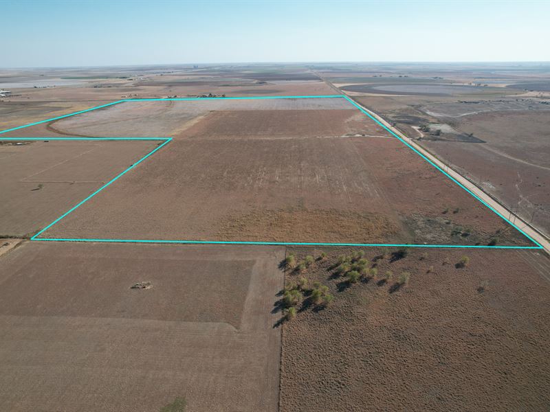 200 Acres in Hale County : Hale Center : Hale County : Texas