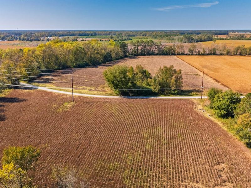 65 Acres of Farm : Beulaville : Onslow County : North Carolina