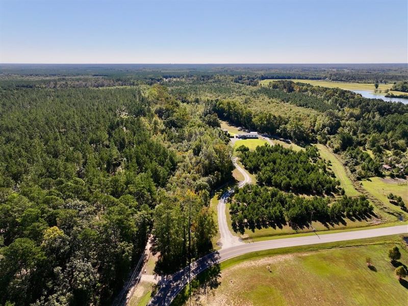 62 Acres of Recreational Timberland : Vanceboro : Craven County : North Carolina