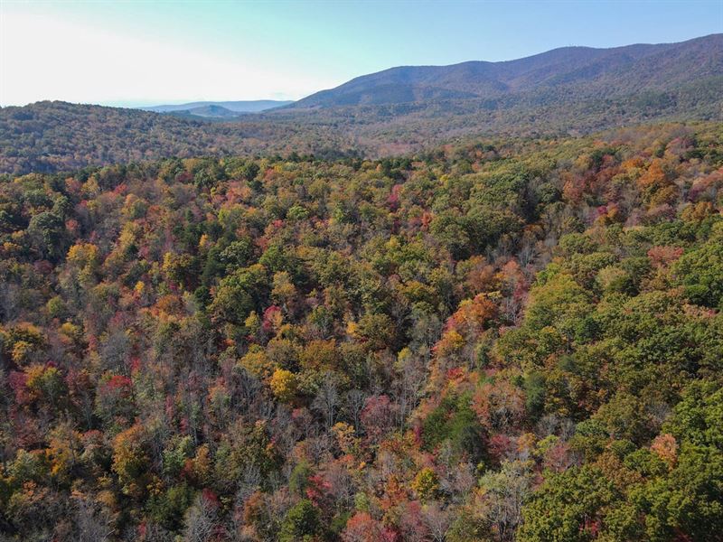 88 Acres of Recreational and Huntin : Patrick Springs : Patrick County : Virginia