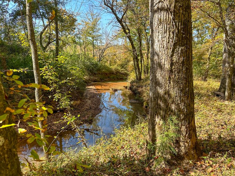 226 Acres Chambers Co : Lafayette : Chambers County : Alabama