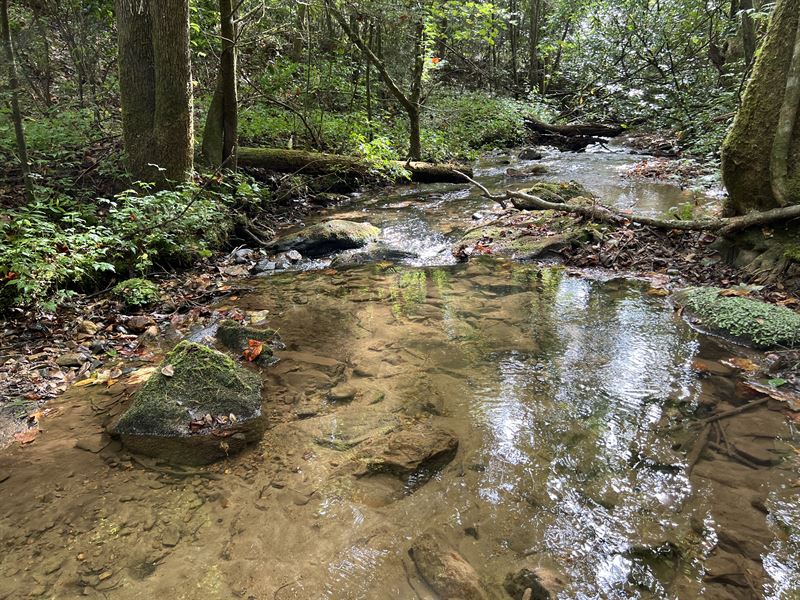 Borders National Forest, Creek : Ellijay : Gilmer County : Georgia