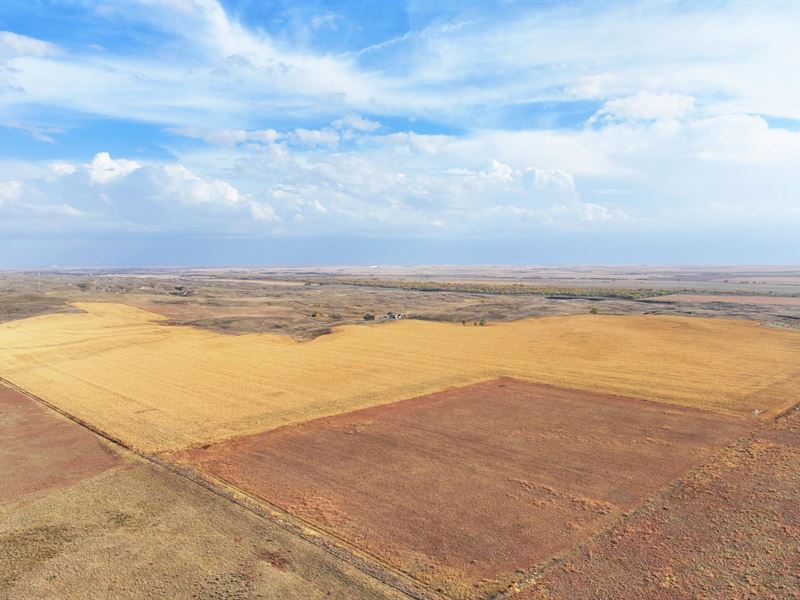 252 Acres, Keith County Dryland : Paxton : Keith County : Nebraska