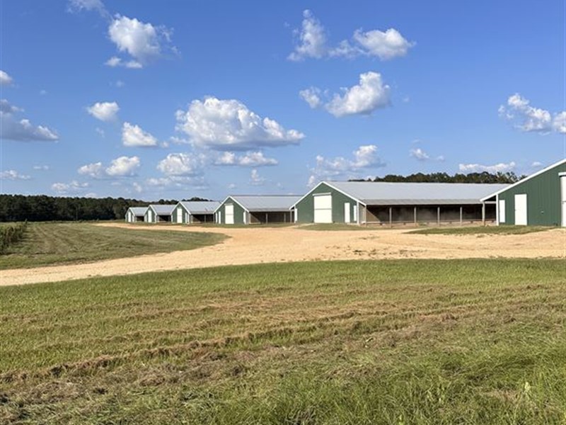 6 House Broiler Farm : Magnolia : Pike County : Mississippi