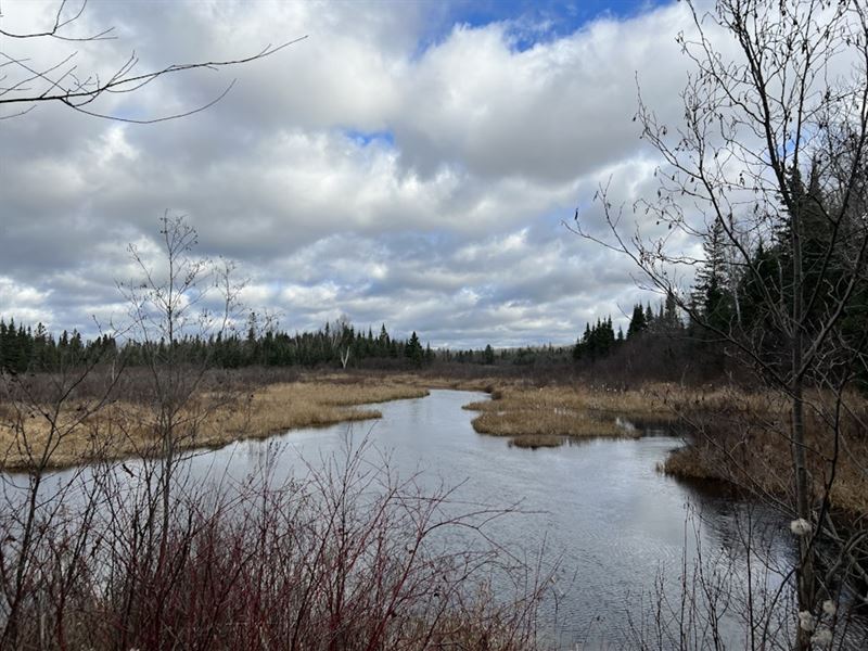 Deer River 160 : Crystal Falls : Iron County : Michigan