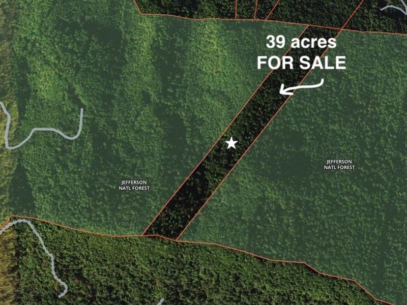 39 Acres in Lee County, VA : Duffield : Lee County : Virginia