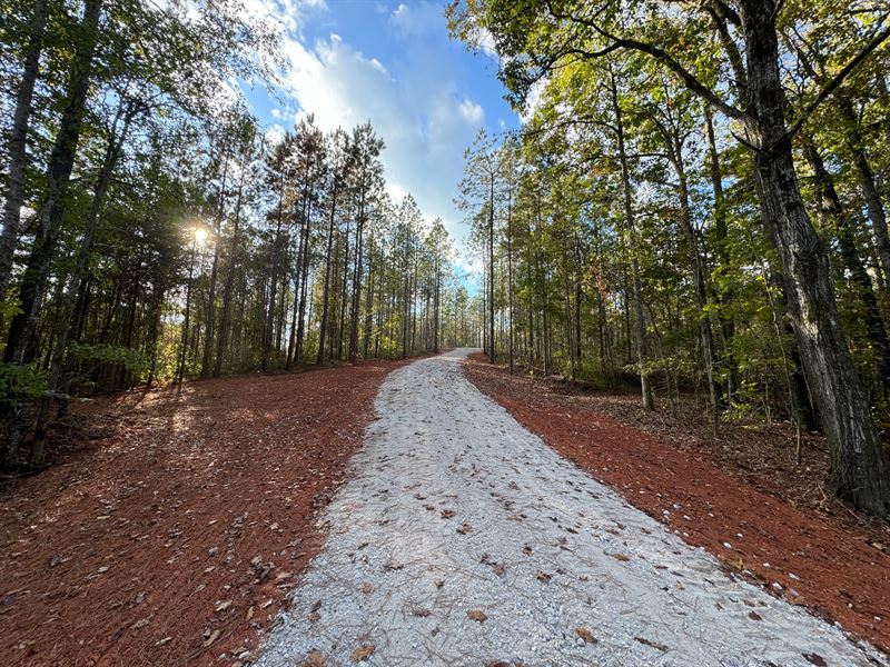 21 Acre Mini Farm, in Standing : Five Points : Chambers County : Alabama