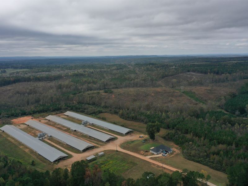 Janney Mega Broiler Farm : Woodland : Randolph County : Alabama