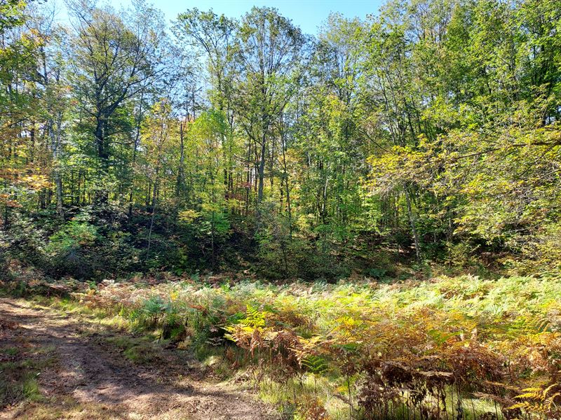 5 Acres with Access to Nat'l Forest : Lakewood : Marinette County : Wisconsin