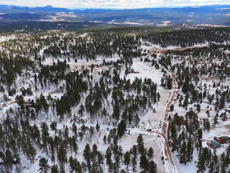 Indian Creek 5 : Lake George : Teller County : Colorado