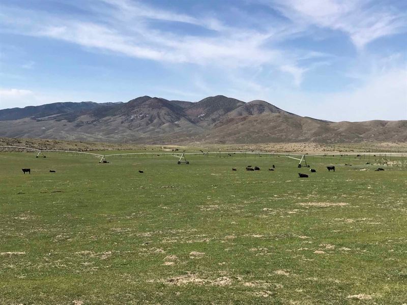 Hat Springs Ranch : Malta : Cassia County : Idaho