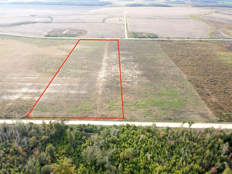 10.12 Acre Vacant Land Lot 2 : Kinard : Calhoun County : Florida