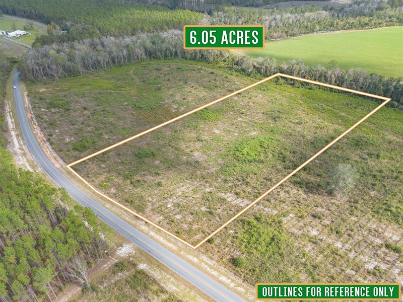 Tract 5 6.050 Acres Saddleclub Rd : Hoboken : Brantley County : Georgia