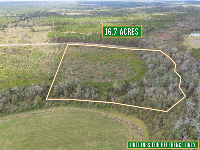 Tract 6 16.70 Acres Saddleclub Rd : Hoboken : Brantley County : Georgia