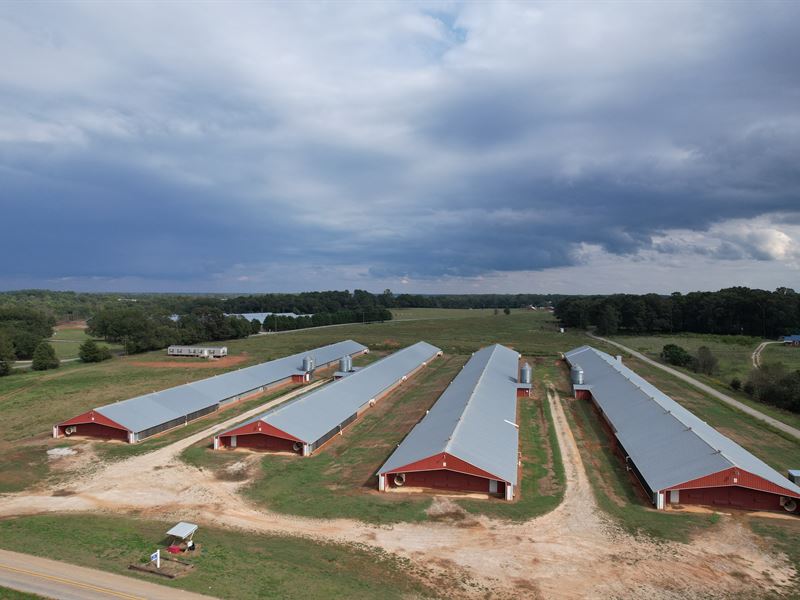 4 House Broiler Poultry Farm : Hartwell : Hart County : Georgia