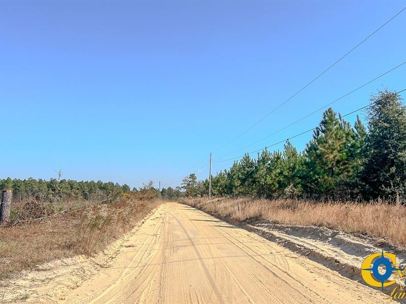 Chrisland Drive Tract : North : Orangeburg County : South Carolina