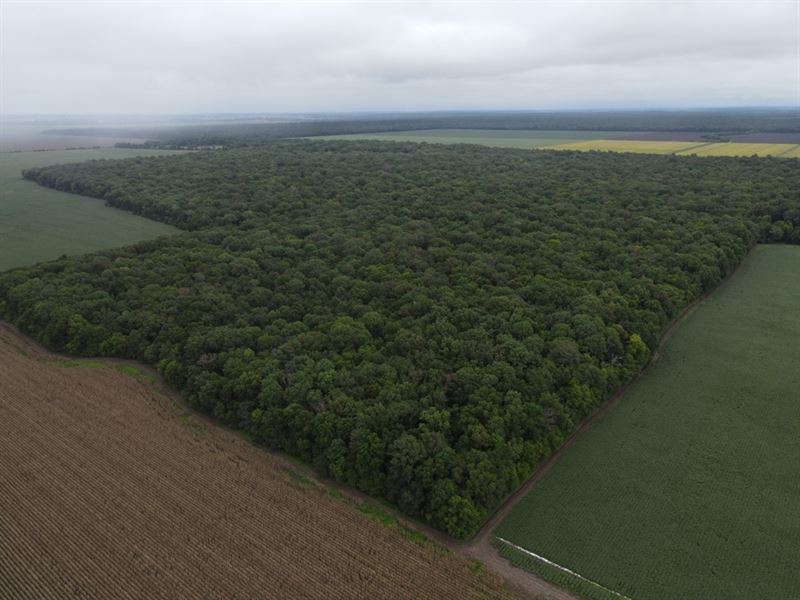 57 Acres in Bolivar County : Shelby : Bolivar County : Mississippi