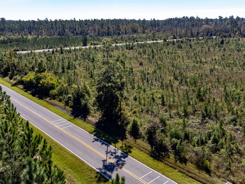 16 Ac Homesite and Timber Near Blou : Blountstown : Calhoun County : Florida