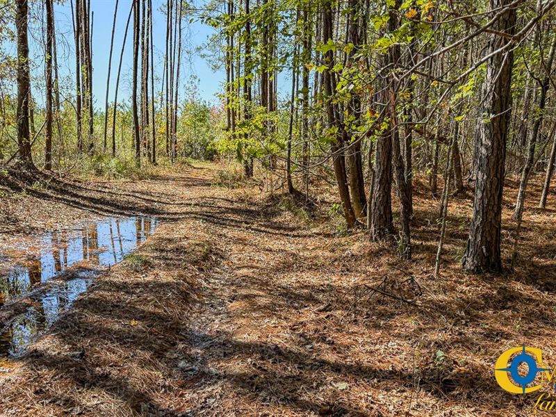 Dunn 2 Tract : Crossett : Ashley County : Arkansas