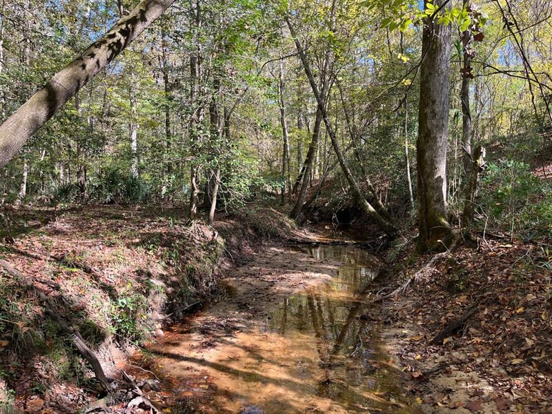 Hunting, Timber, & Creek : Toomsboro : Wilkinson County : Georgia