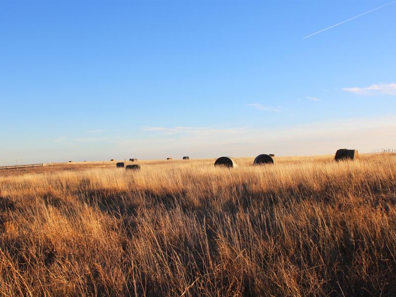 1,407 Acres, Dawes County Grass : Chadron : Dawes County : Nebraska